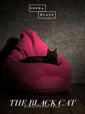 cover image of The Black Cat